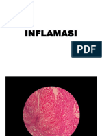 Histopathology of Inflammation & Neoplasma