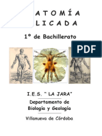 Organización Básica Del Cuerpo Humano PDF