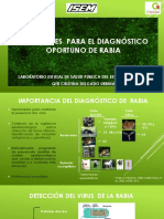 Directrice S Diagnostico Rabia