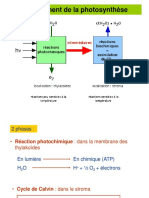 Photosynthese 2 S3 Licence Horticulture