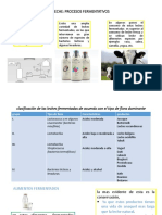 Procesos Fermentativos