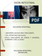 Oclusion Intestinal