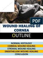 Woundhealingofcornea 160912145044