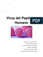 Investigación VPH