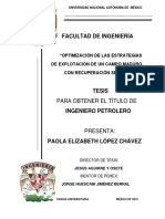 Tesis - OPTIMIZACIÓN DE LAS ESTRATEGIAS DE EXPLOTACIÓN DE UN CAMPO MADURO CON RECUPERACIÓN SECUNDARIA PDF