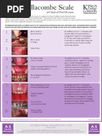 Challacombe Scale ENG