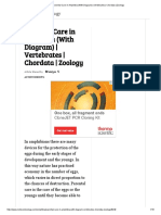 Parental Care in Amphibia (With Diagram) - Vertebrates - Chordata - Zoology