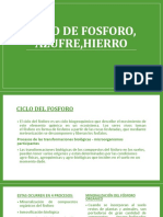 Ciclo de Fosforo, Azufre, Hierro