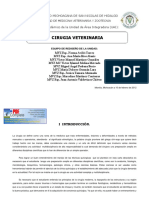 Cirugia Veterinaria PDF