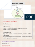 Receptor Es