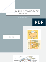 Anterior Segment of The Eye