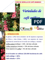 Variedades de Café Arábigo