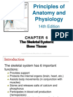 Week 6 Skeletal System