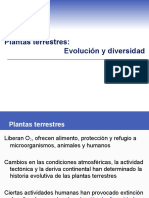 Plantas Terrestres-Evolución y Diversidad