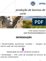 Nutrição Bovina