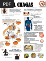 Folleto Chagas