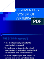 Integumentary System of Vertebrates