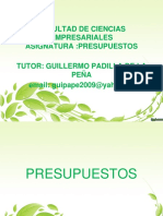 Diapositivas Presupuestos