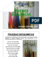 Pruebas Bioquimicas