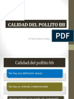 Calidad Del Pollito BB