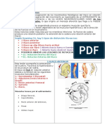 Lesiones Iliosacras My Resumen Autoguardado