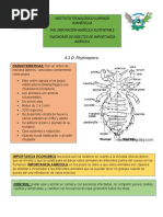 Entomologia