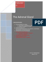 The Adrenal Gland