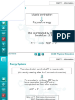 Muscle Contraction: Energy Systems