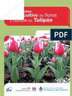 Guiaracticaparaelcultivodeflordetulipan