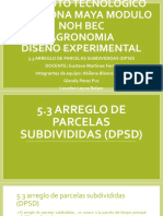 5.3 Arreglo de Parcelas Subdivididas (DPSD)