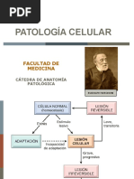 Patologia Celular-Adaptacion Celular