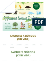 Factores Abióticos