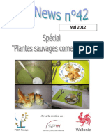 Plantes Sauvages Commestibles