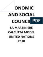 Economic and Social Council