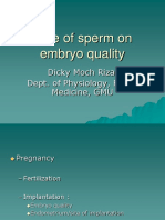 Role of Sperm On Embryo Quality: Dicky Moch Rizal Dept. of Physiology, Fac - of Medicine, GMU