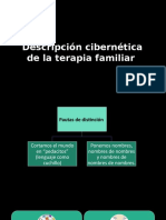 Descripción Cibernética de La Terapia Familiar