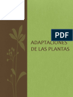 Adaptaciones de Las Plantas