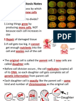 Cell Division-Mitosis Notes: 2 New Cells