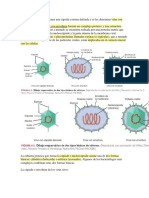 Virus Evernote