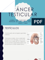 Cáncer Testicular 