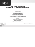 PDF Documento