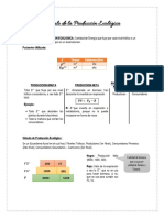 Calculo de La Producción Ecológica