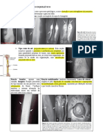 Resumo - Sistema Musculoesquelético