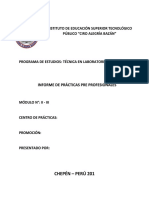 Esquema de Informe de Practicas Pre Profesionales Ii - Iii PDF