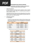 Proyecto Integral Remodelacion de Redes Electricas de Media Tension