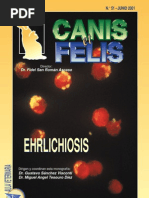 Ehrlichiosis