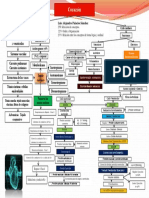 Mapa Conceptual Corazon