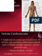 Sistema Cardiovascular - PH PDF