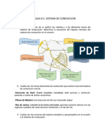 Guia Sistema de Conducción Dayana Castañeda