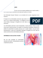 Enfermedad Vascular de Pulmon